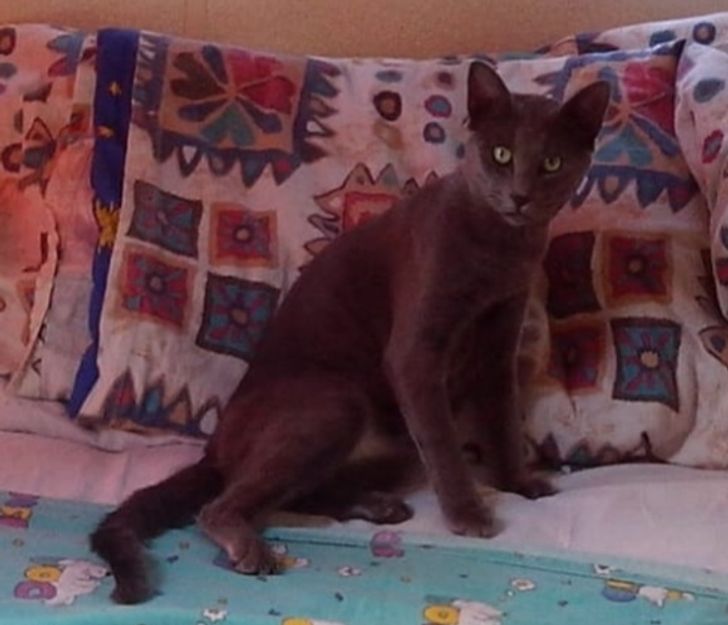 27425250f4b8083b3cdc380b35