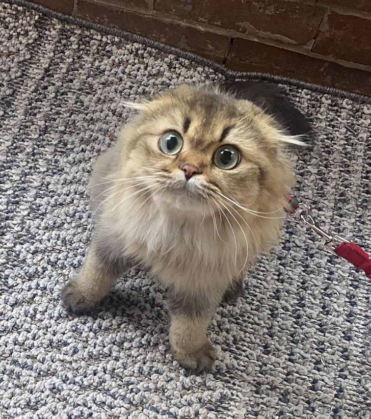 274bdf570a9d675f307ee8492d