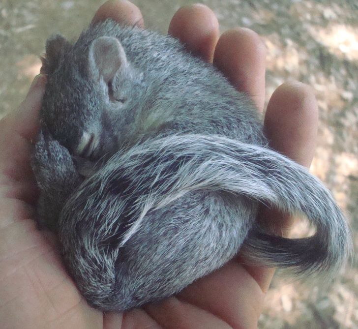 274df85cc2852121b11b444aab