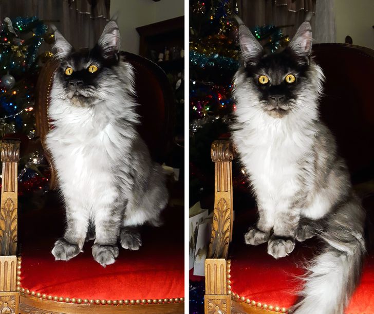 2751525ed9bee787e0aa1a20c3