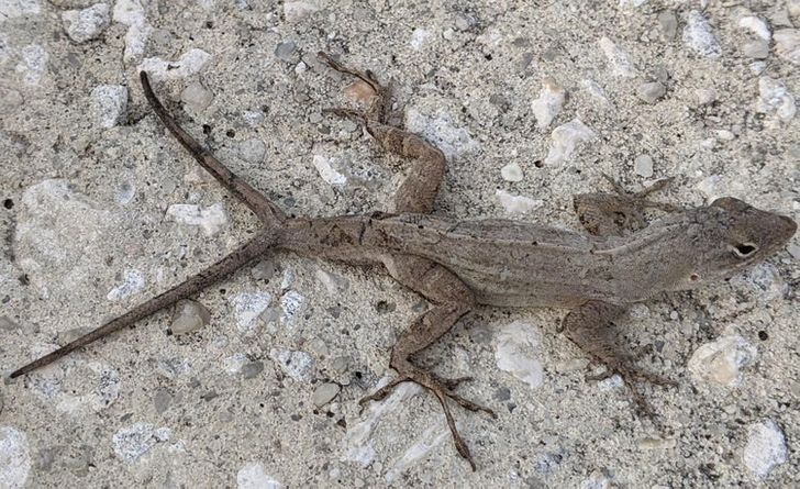 2754c454f7a1da6dcb2824f84c