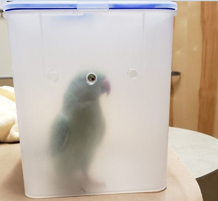 275c175093956b789fbf3cd9aa