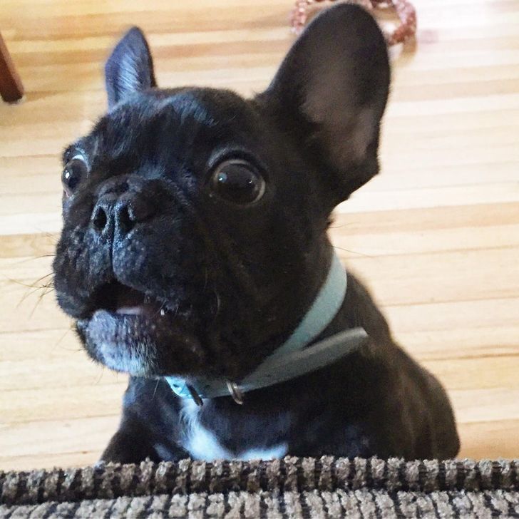 27640d566c8839fda37c172aa1