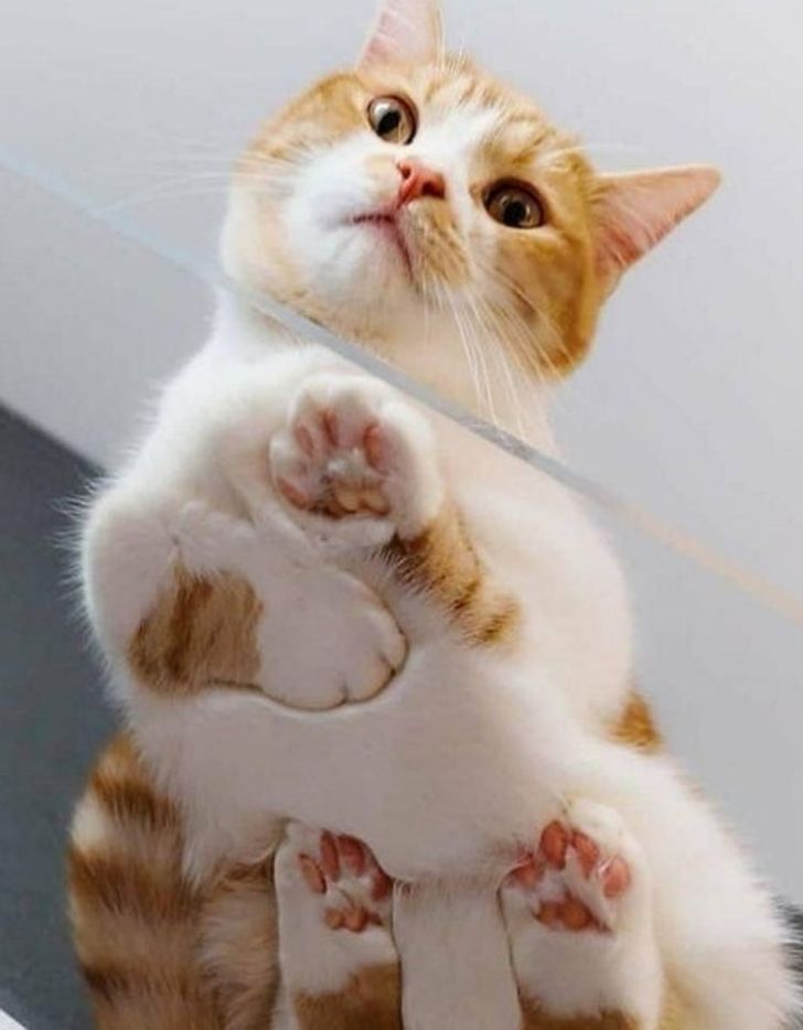 2764ab5f21955f7bcfc2a58a1d