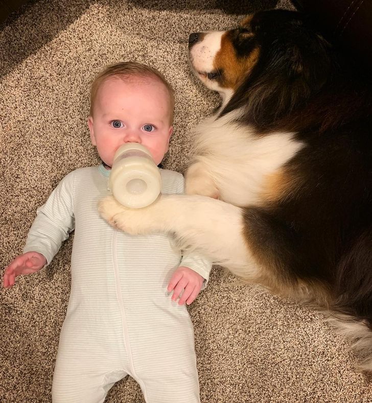 276b37598b9f16506c8f79d97f