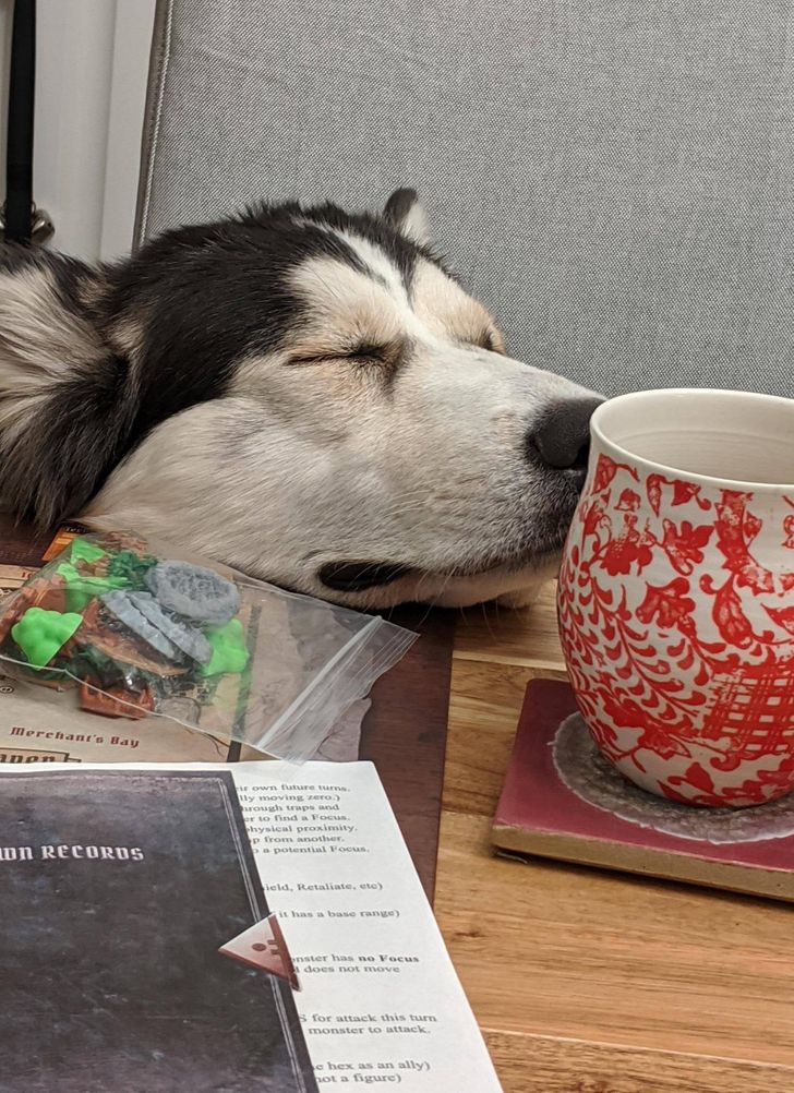 276d4f51d2ae7befb863210480