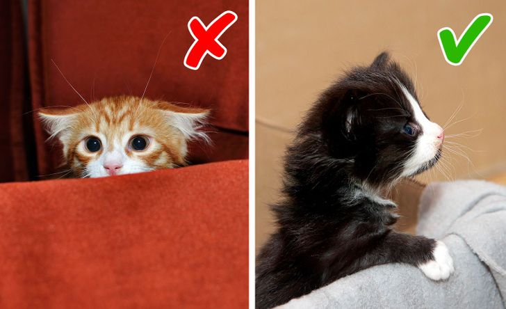 276ead508eb45abdcadd845e33