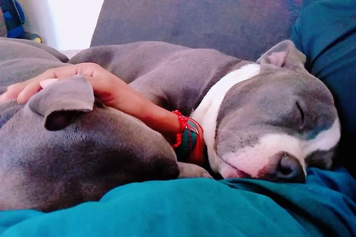 27721d5ef1acb7184685d945ff