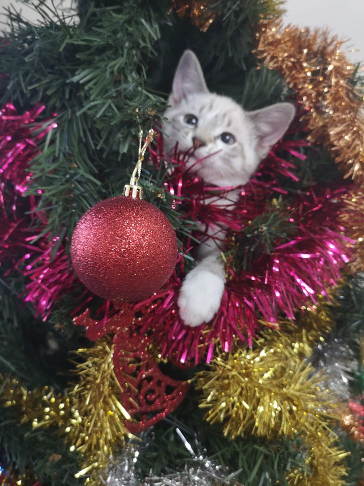 2776425902b85b1bbd607fd3ab