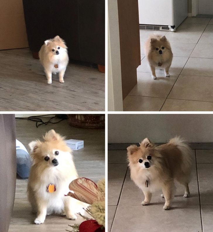 2777505c88a11473ddc1d3e22c