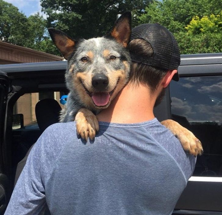 277e5c5c428dafba06d2d6d6ce