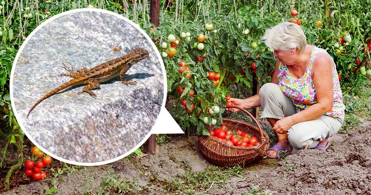 27802a5bcd993010cc0e093cdc