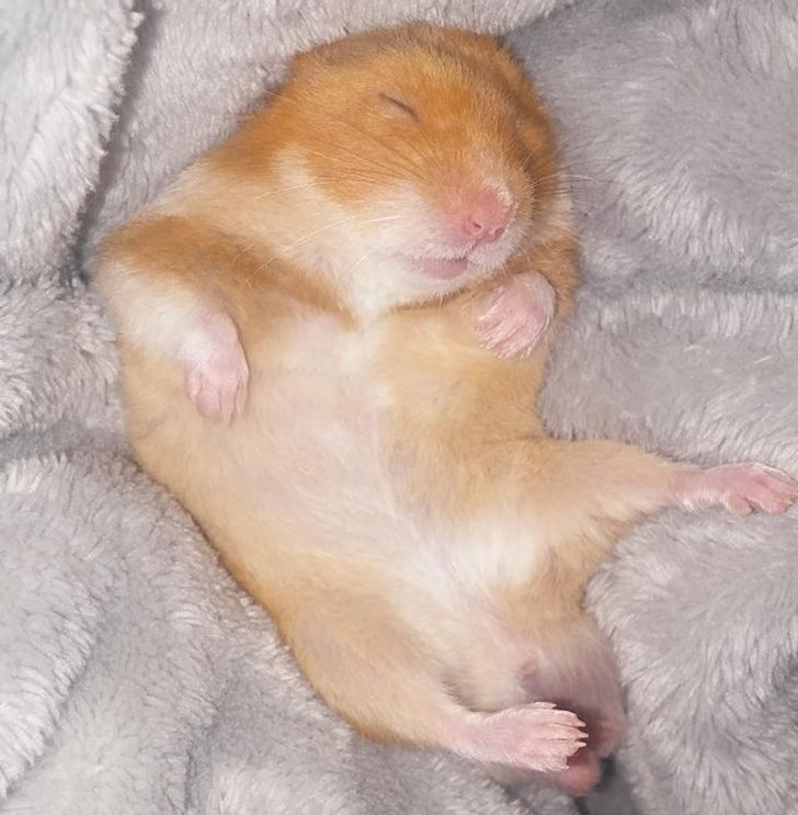 2785f35260944f02f1c79e932d