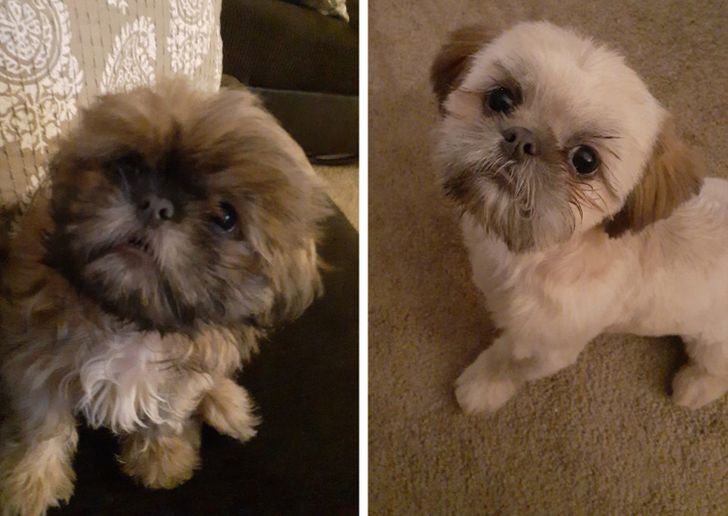 278c1e5e1b8a2cca3d937a5636 278c1e5e1b8a2cca3d937a5636