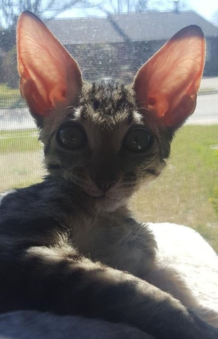 2797465441b747bbc9b1b6adbb