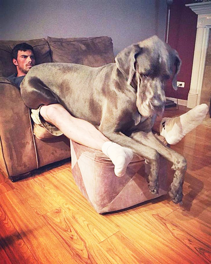 279d1853a583b29dfddf6d2cc5