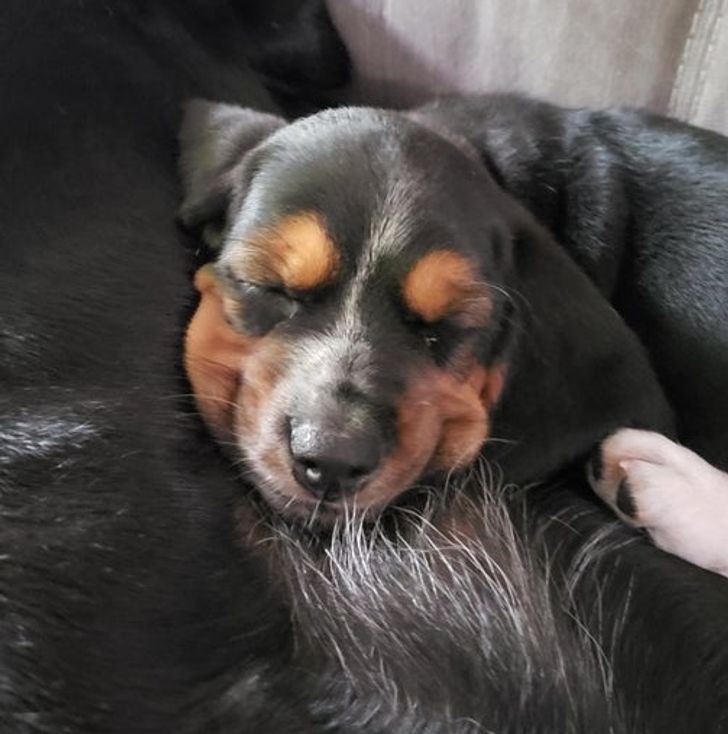 27aa1957b2977a3559ae8bf8c8 27aa1957b2977a3559ae8bf8c8