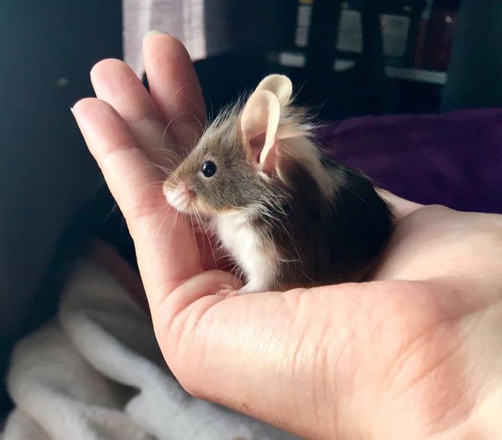 27aba754c1a382ecb5685e5a08