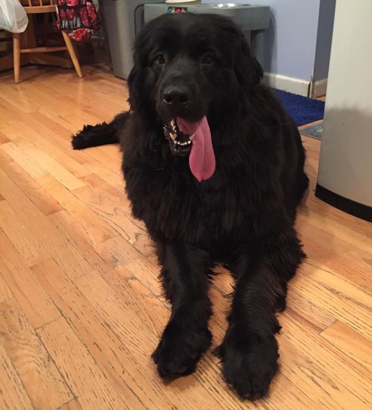 27b2605039ac67b22a9b477ad3