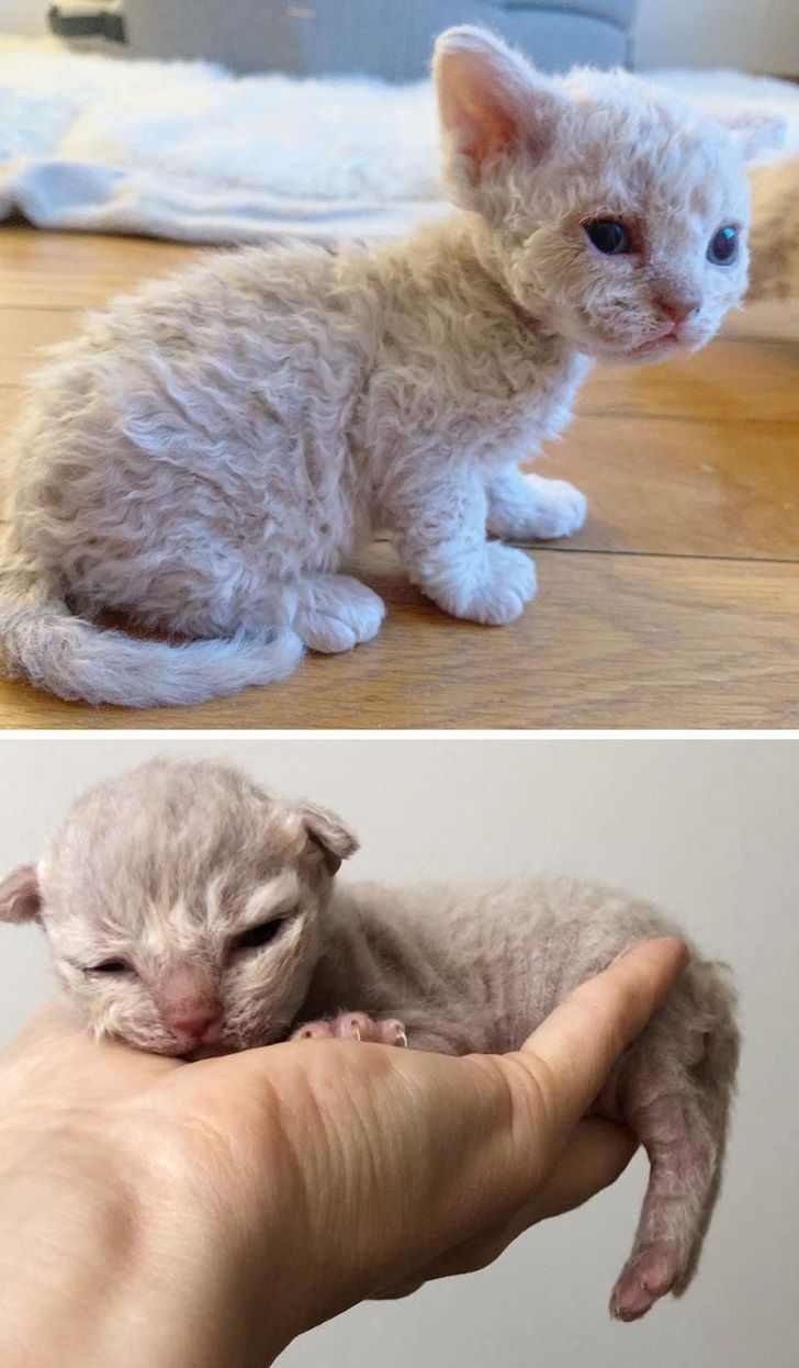 27b625584ebe8c11043e63b015