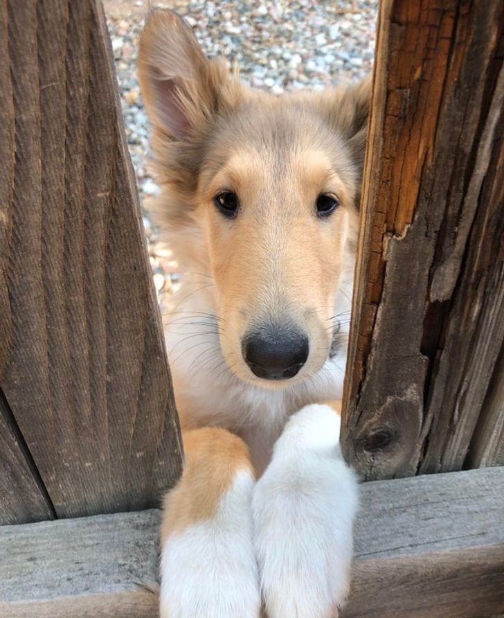 27ba31539a9a37a544e8958f1b