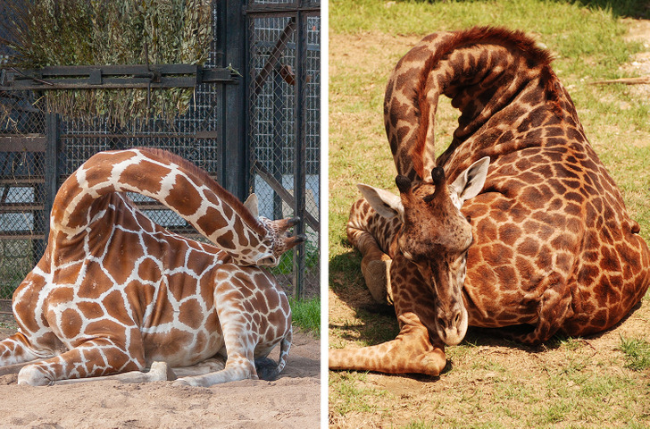 27bc005c319e314e28ed8e619d