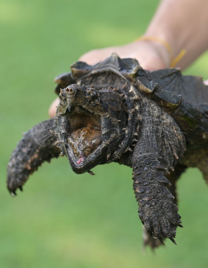 27c451547884bf9821ec3c1bb4