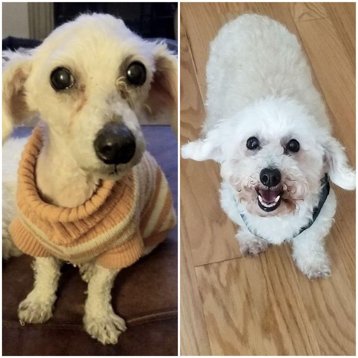 27c461529d9cf603138e559013