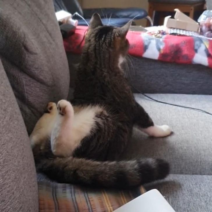 27d5025a11934ad84600703e77