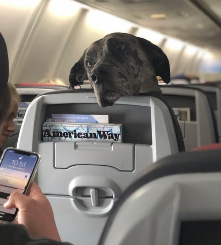 27d56e585fb4fb68d5bd8dfe9e