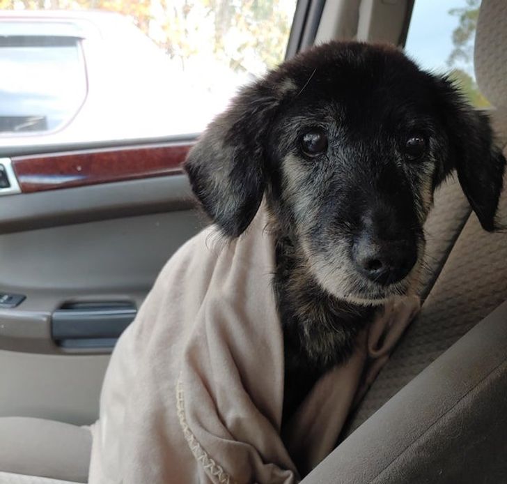 27d61056439d34f01c274f2e6a