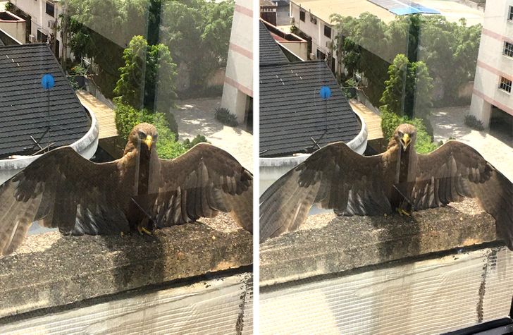 27dce75660896e3511ea261cbd