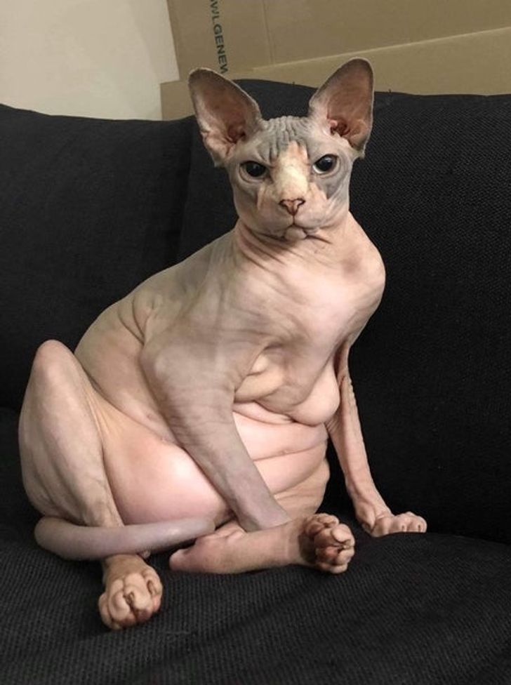 27de145affbbd8e57ac4da60fd