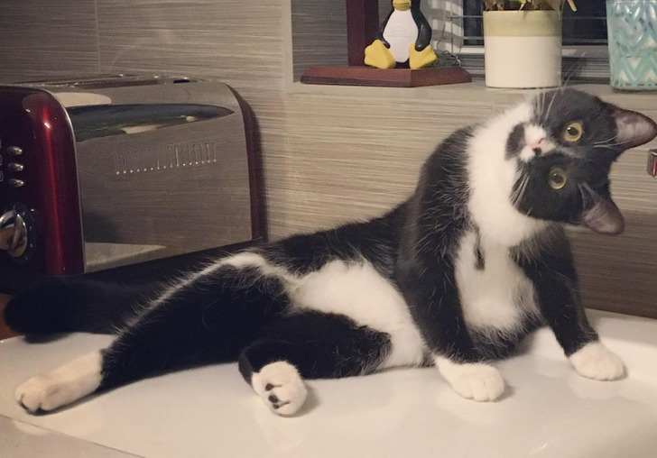 27e44b55298292bf75f95ae884 27e44b55298292bf75f95ae884