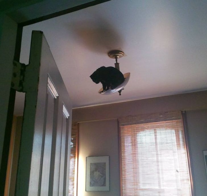 27f07a5bca8f18cce01d110d16