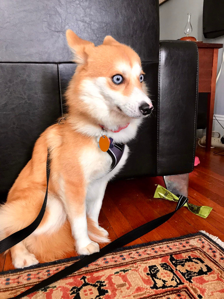 27f69a5271ba56d14c1d8809f9