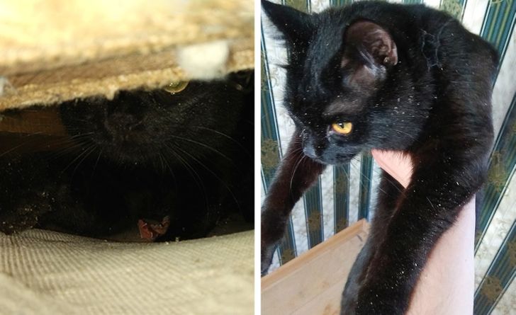 27fc15562082e28039ae3e574c