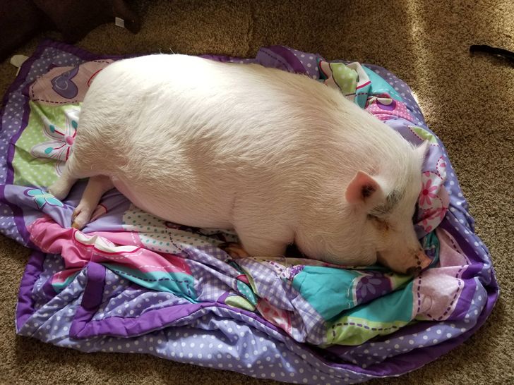 2804025ef6b5fa05f1ee410c8b