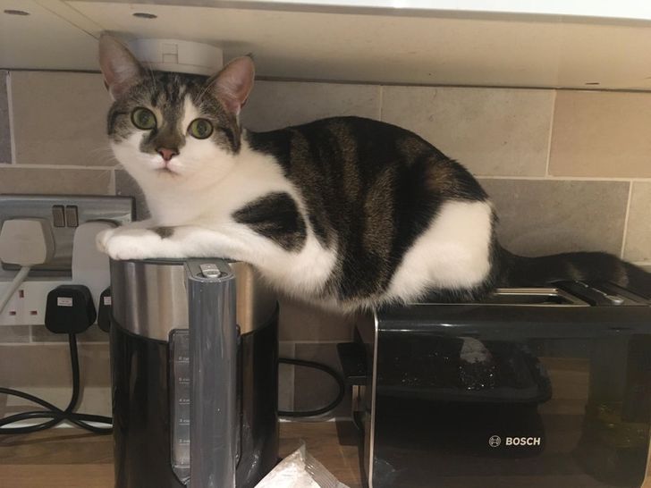 2804a4562f829e057b7ae87c84