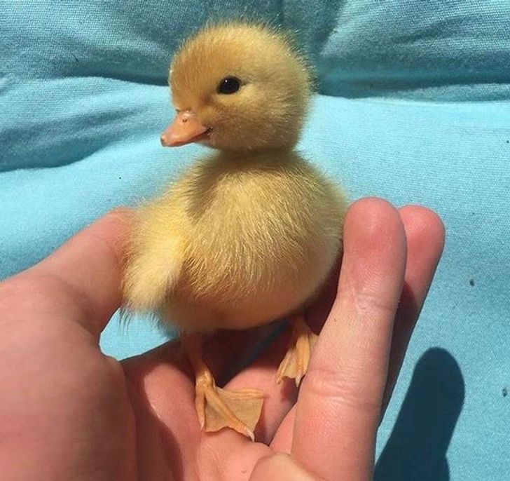 2810c054498ef5e517a7c169d2 2810c054498ef5e517a7c169d2