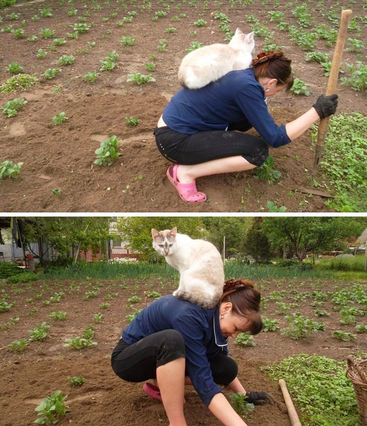 2814d65715ba3a6eae507c33b0