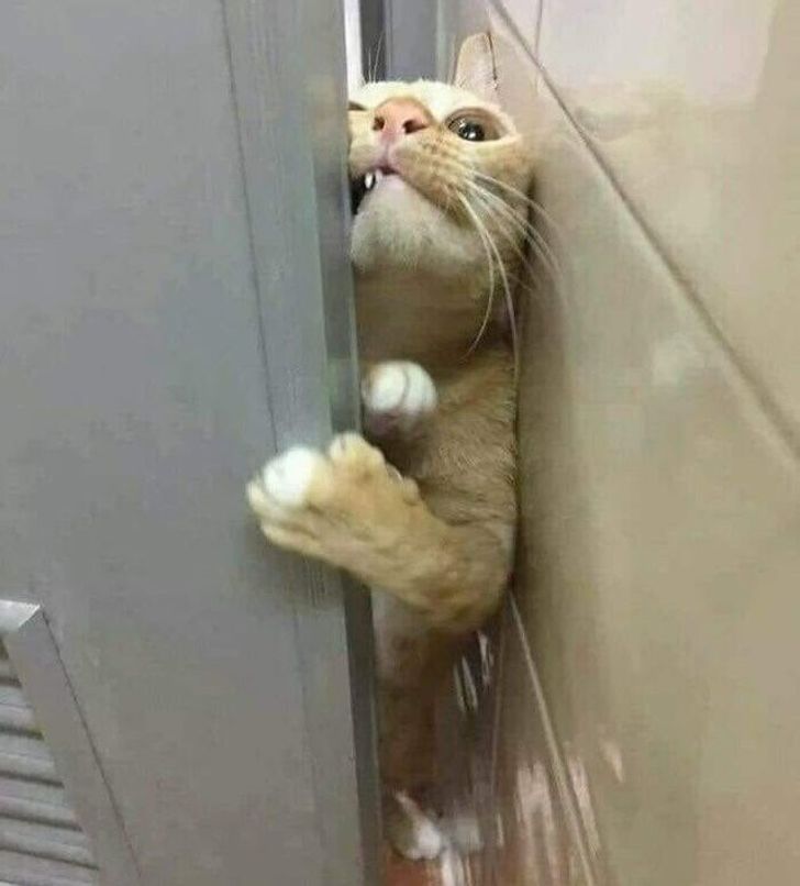 2817df55f7861e2cc6e79be765