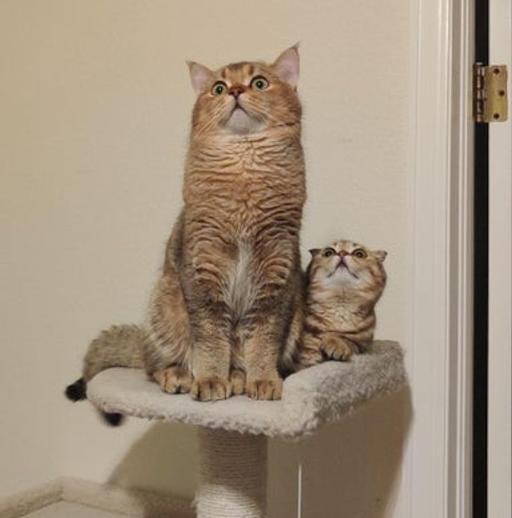 282d3453a992fa7da0d206b419