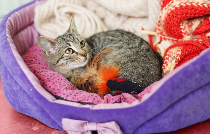 282e9055d08e72c3572f2b0b0f