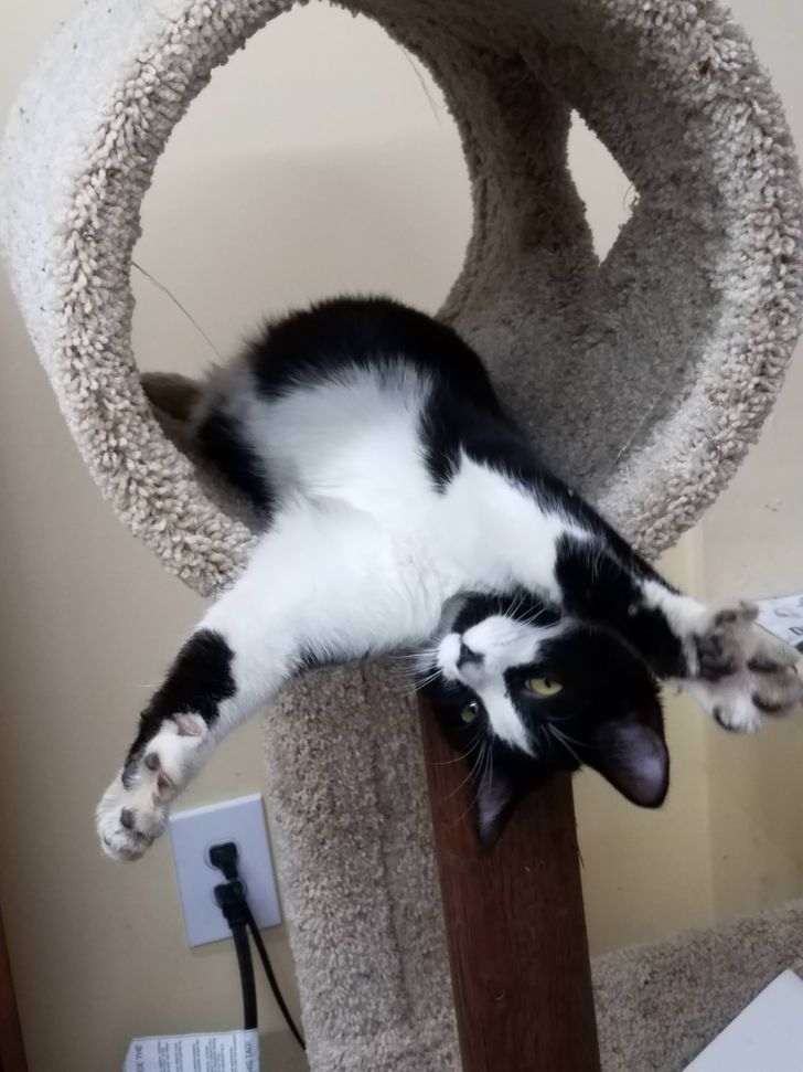 283321574abf81b490589cd959