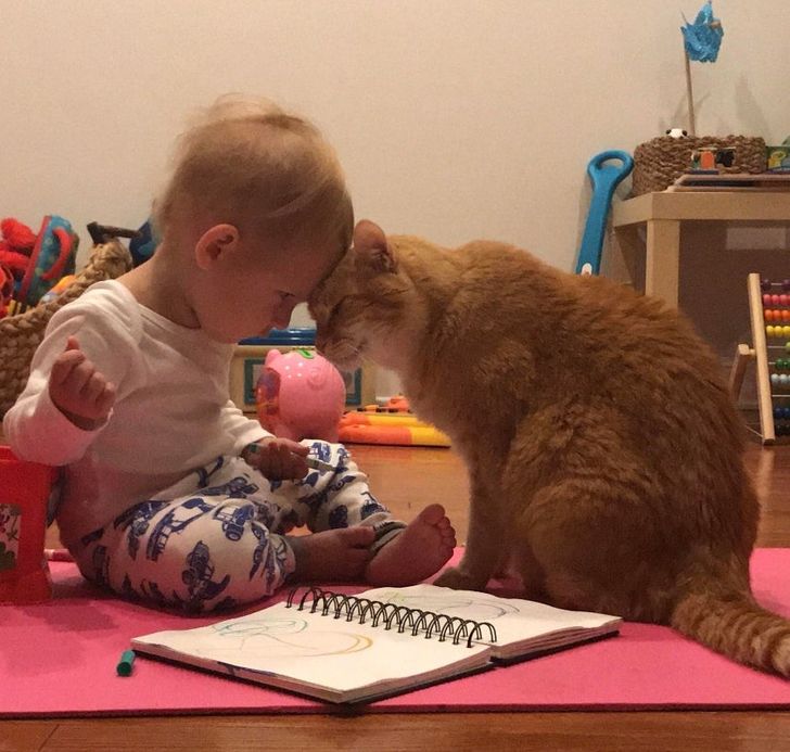 2833295742812ebe748a2f3b09