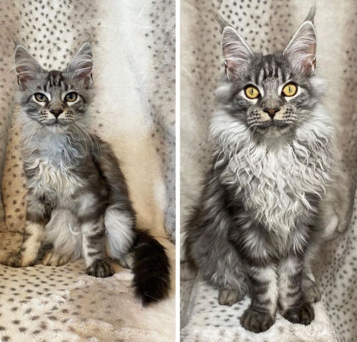 28394954d9b87cbc88da4639b3