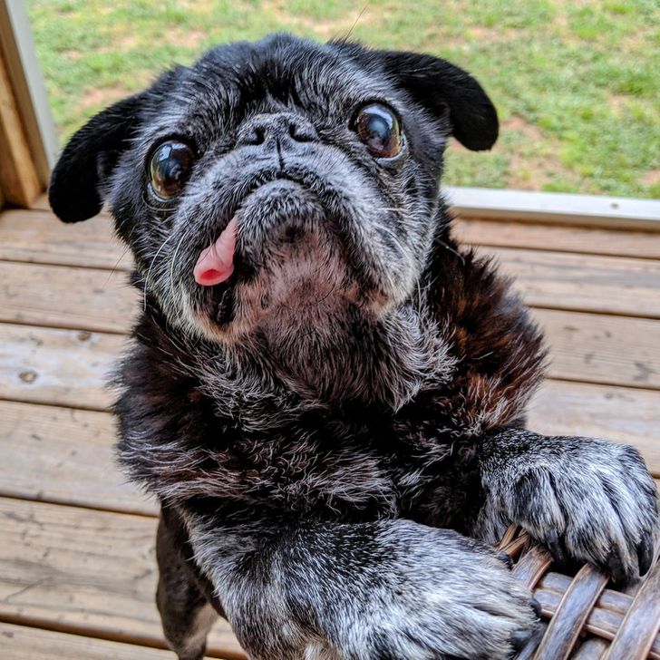 2848a95883ac14714e086fc40b