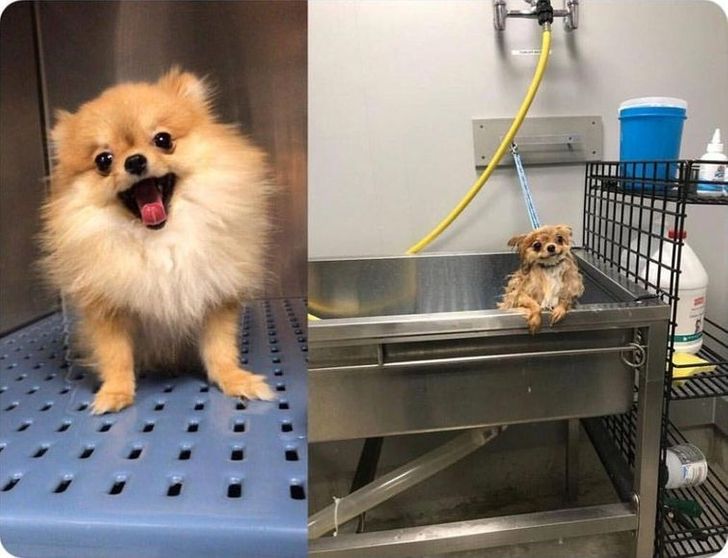 284e585e1faed7d98ab29ecae2