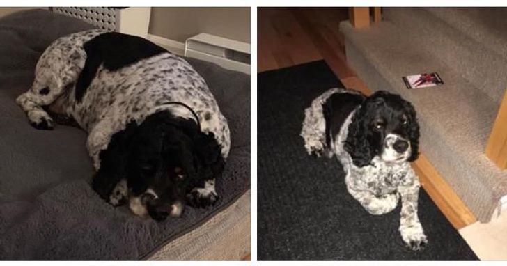 28509c5df5aaff58b59503fbbd